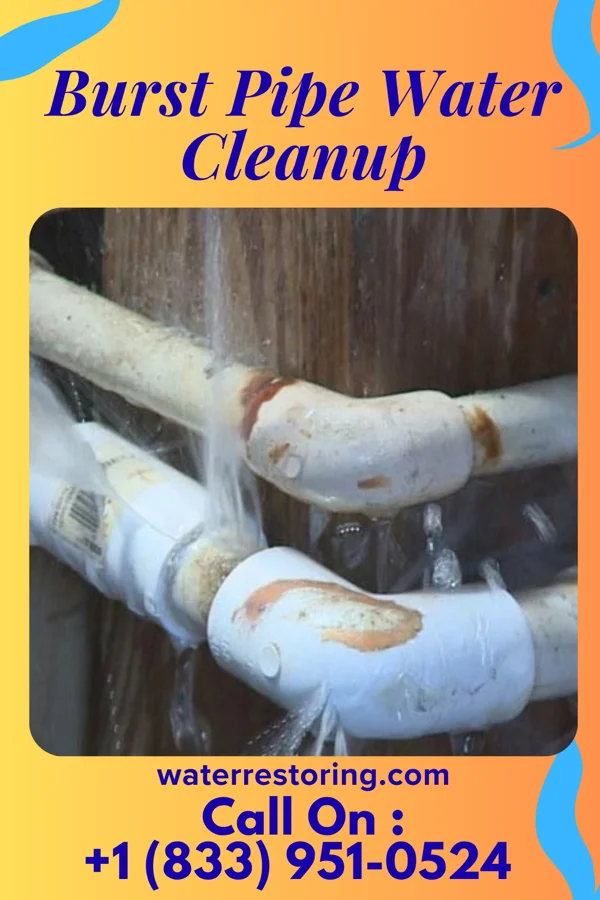 Burst Pipe Water Cleanup in South Greenfield, MO