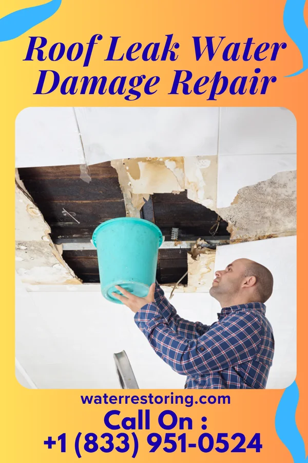 Roof Leak Water Damage Repair in South Greenfield, MO