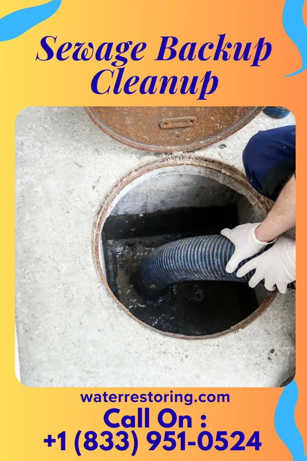 Sewage Backup Cleanup in South Greenfield, MO